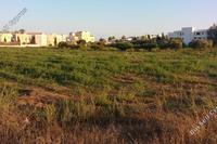 2300 SQM Land in Geroskipou (Paphos) for sale 