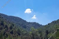 7693 SQM Land in Palaichori Oreinis (Nicosia) for sale 