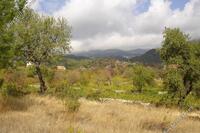 6523 SQM Land · Pera Pedi (Limassol) for sale 