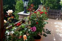 3 Bedroom Semi-detached house in Arsos Lemesou (Limassol) for sale 