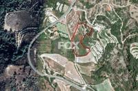 7154 SQM Land in Paphos Municipality (Paphos) for sale 