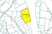 8538 SQM Land in Dali (Nicosia) for sale 