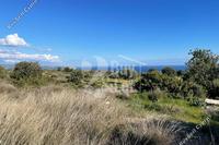 11372 SQM Plot in Pissouri (Limassol) for sale 