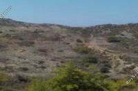 98006 SQM Land in Pigenia (Nicosia) for sale 