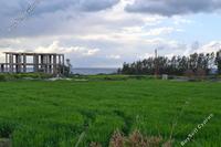 4300 SQM Land · Peyia (Paphos) for sale 
