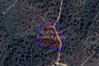 24968 SQM Land · Kapedes (Nicosia) for sale 