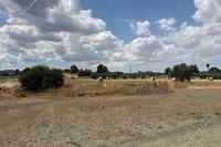 12370 SQM Land in Mathiatis (Nicosia) for sale 