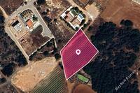 1565 SQM Land in Pernera (Famagusta) for sale 