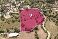 6000 SQM Land · Lageia (Larnaca) for sale 