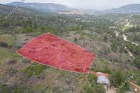 4915 SQM Land in Mitsero (Nicosia) for sale 
