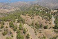 4683 SQM Land · Pano Pyrgos (Nicosia) for sale 