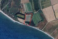 8382 SQM Land in Kouklia Pafou (Paphos) for sale 