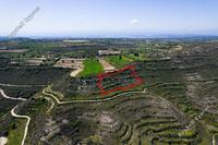 8504 SQM Land · Pachna (Limassol) for sale 