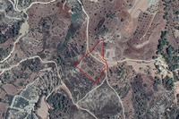 10703 SQM Land · Kinousa (Paphos) for sale 