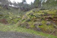 7318 SQM Land in Agios Epifanios Oreinis (Nicosia) for sale 