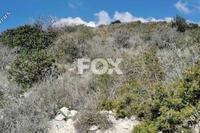 1702 SQM Land · Kapileio (Limassol) for sale 