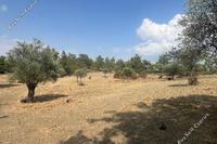 7544 SQM Land · Lythrodontas (Nicosia) for sale 