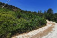 16500 SQM Land in Tsakistra (Nicosia) for sale 