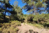 16389 SQM Land · Pera Pedi (Limassol) for sale 