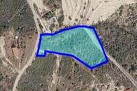 6689 SQM Land in Akrounta (Limassol) for sale 