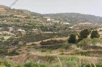 6689 SQM Land · Stroumbi (Paphos) for sale 