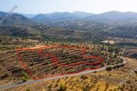 16827 SQM Land · Agia Marina Xyliatou (Nicosia) for sale 