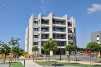 1 Bedroom Apartment in Zakaki (Limassol) to rent 