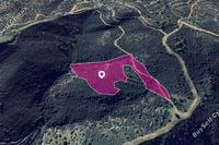 18730 SQM Land in Lageia (Larnaca) for sale 