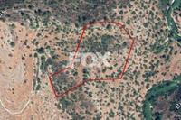 22409 SQM Land · Monagri (Limassol) for sale 