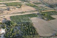 2400 SQM Plot in Mazotos (Larnaca) for sale 