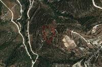 6355 SQM Land · Dora (Limassol) for sale 