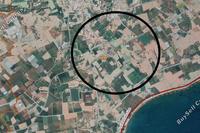 1354 SQM Land · Mazotos (Larnaca) for sale 