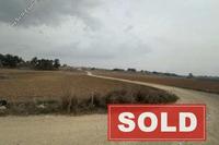 4319 SQM Land · Avgorou (Famagusta) for sale 