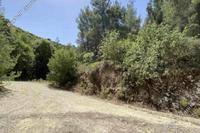 34774 SQM Land · Prastio (Paphos) for sale 