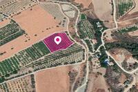 5352 SQM Land in Makounta (Paphos) for sale 