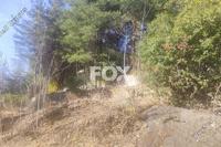 595 SQM Plot in Pera Pedi (Limassol) for sale 