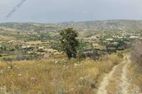 7024 SQM Land in Giolou (Paphos) for sale 