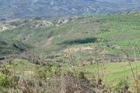 19066 SQM Land · Pentalia (Paphos) for sale 