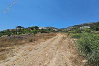 12037 SQM Land · Tala (Paphos) for sale 