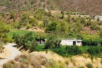 40136 SQM Land in Arakapas (Limassol) for sale 