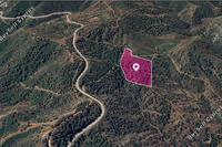 9700 SQM Land in Pano Pyrgos (Nicosia) for sale 