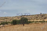 5128 SQM Land in Kato Polemidia (Limassol) for sale 