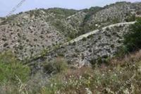 8696 SQM Land · Pentalia (Paphos) for sale 