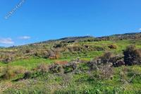 10703 SQM Land in Lasa (Paphos) for sale 