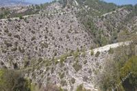 8696 SQM Land in Pentalia (Paphos) for sale 