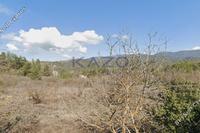 2007 SQM Land in Mandria Lemesou (Limassol) for sale 