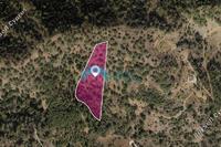 9532 SQM Land in Gerakies (Nicosia) for sale 