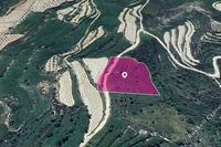 8027 SQM Land in Koili (Paphos) for sale 