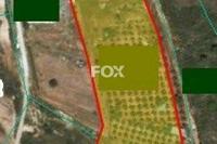 18450 SQM Land in Souni Zanakia (Limassol) for sale 