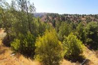 5017 SQM Land · Kampia (Nicosia) for sale 